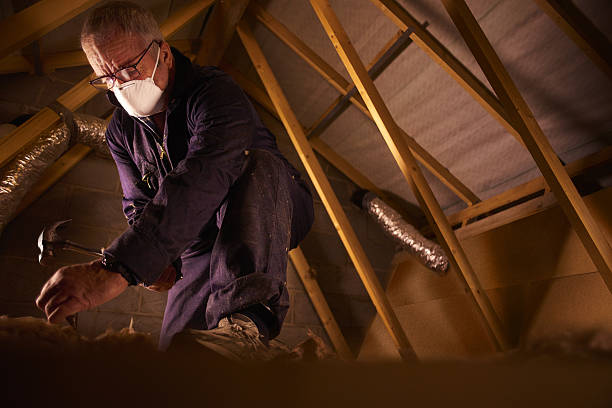 Best Specialty Insulation in Onalaska, TX